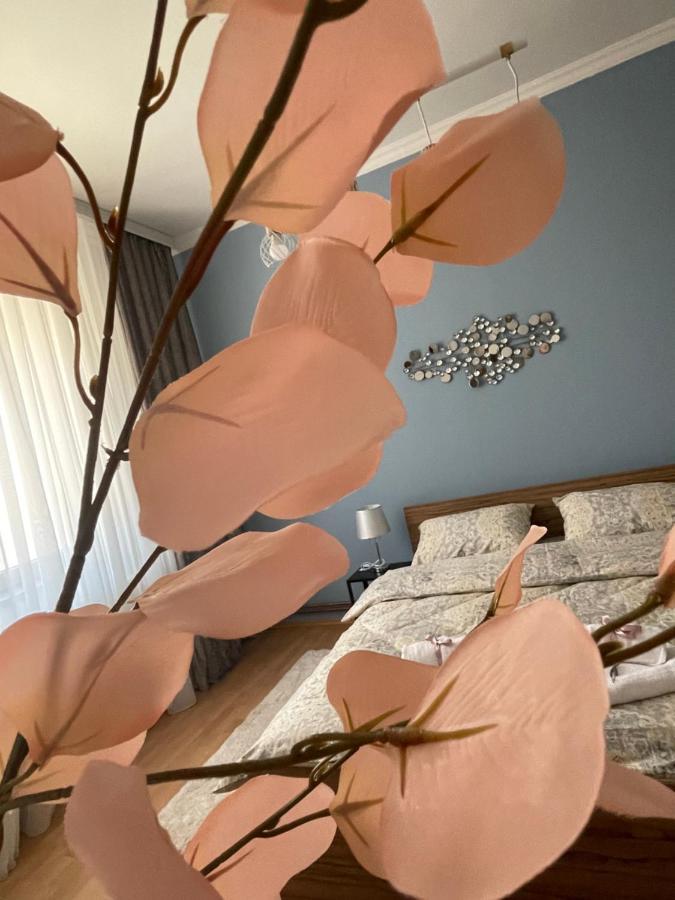 Apartman Tara سوبوتيتْسا المظهر الخارجي الصورة