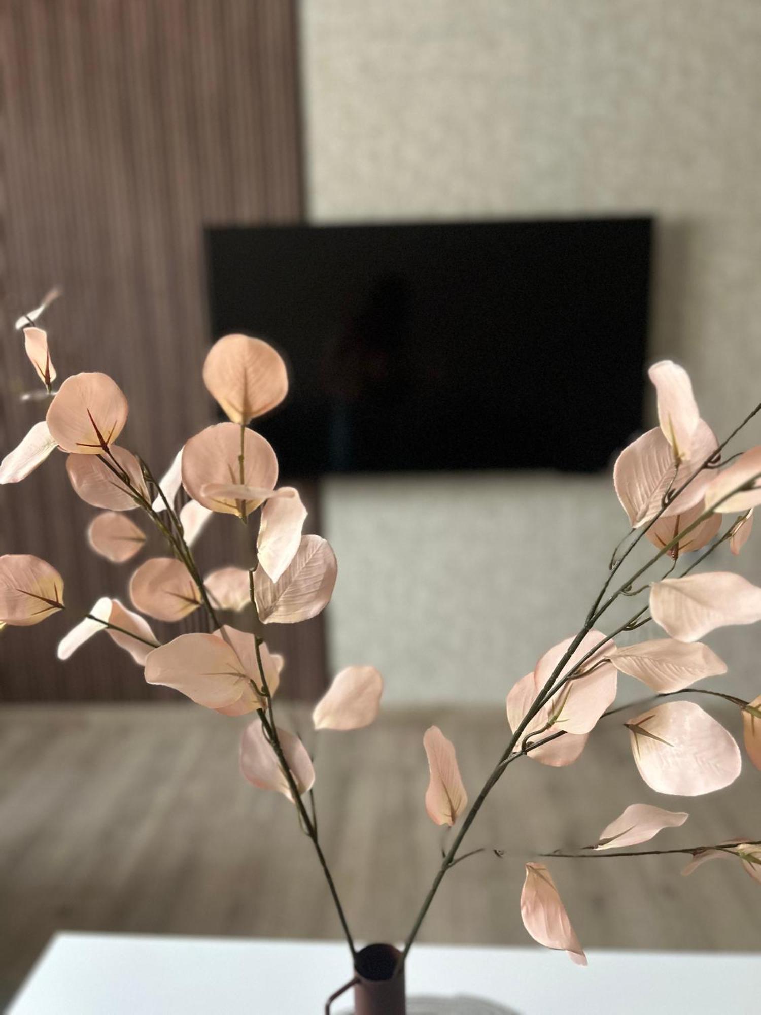 Apartman Tara سوبوتيتْسا المظهر الخارجي الصورة