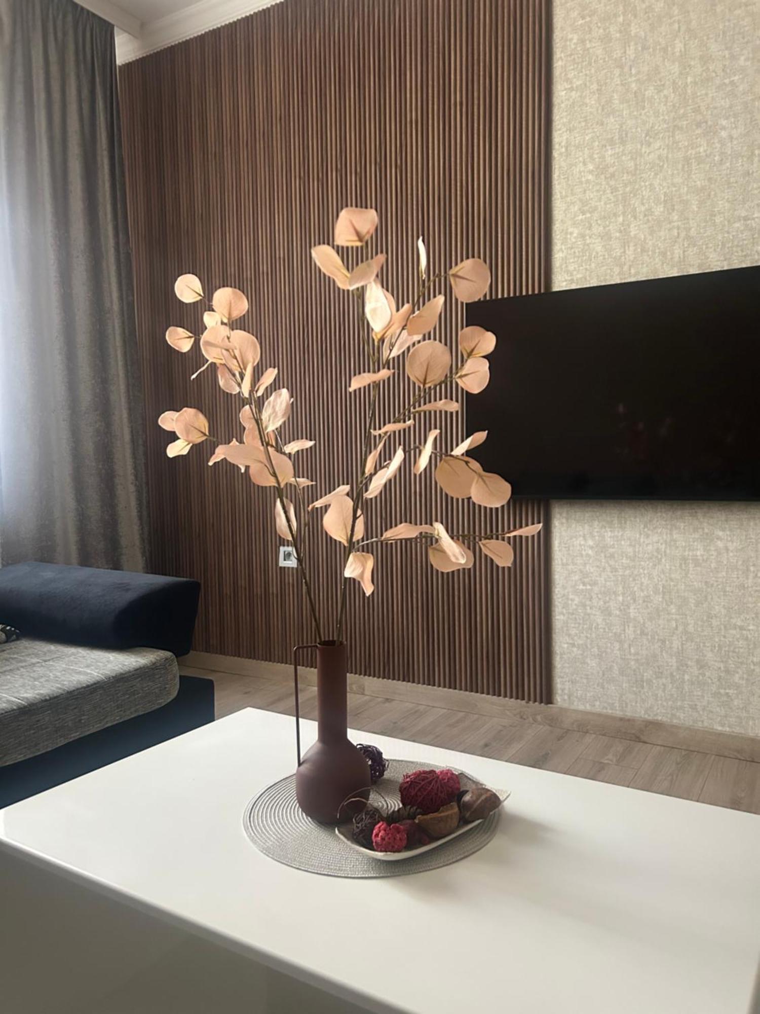 Apartman Tara سوبوتيتْسا المظهر الخارجي الصورة